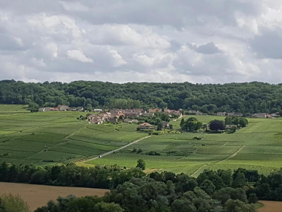 Le Domaine De L Etang Le Merger Oeuilly Exterior photo